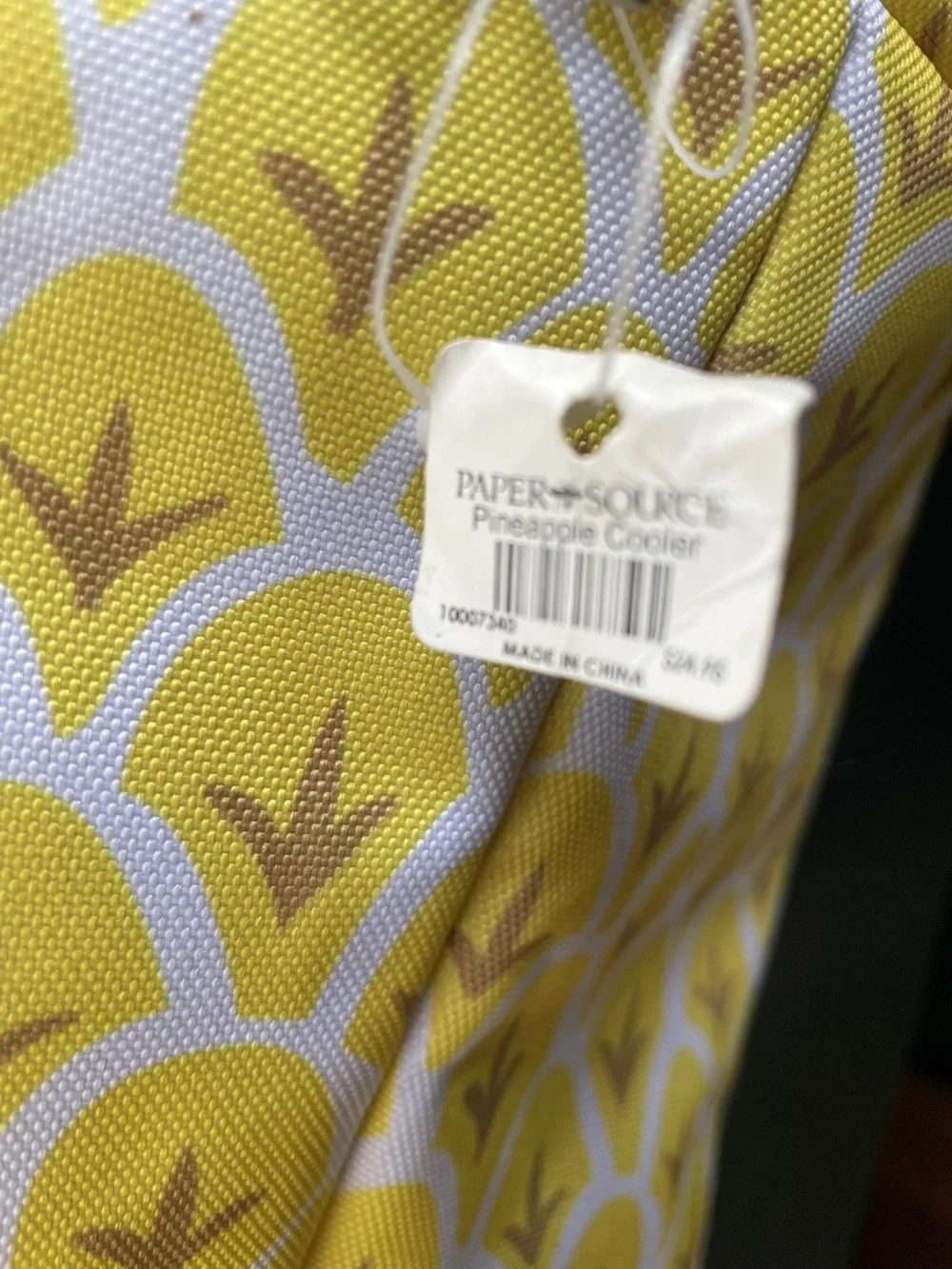 Paper Source Pineapple Cooler-NWT